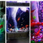 Aireador de burbujas para acuario