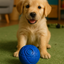 PELOTA BOUNCE