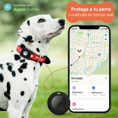 Collar Inteligente Con Gps Para Mascotas