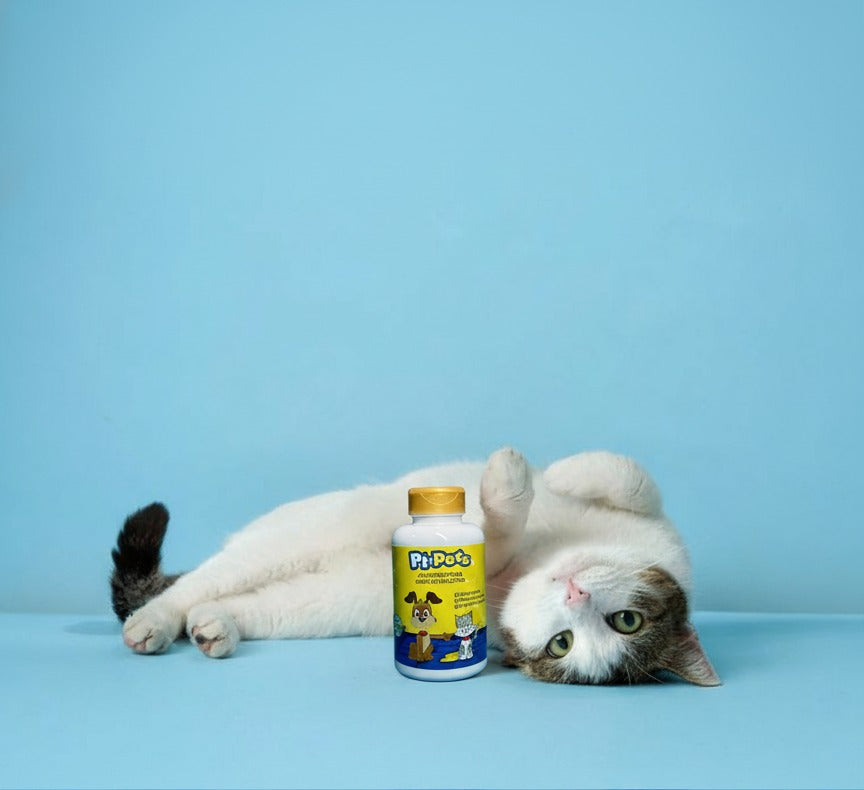 PI-PETS 100G